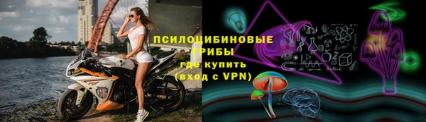 мдпв Козельск