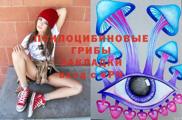 кокс Козловка