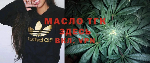 мдпв Козельск