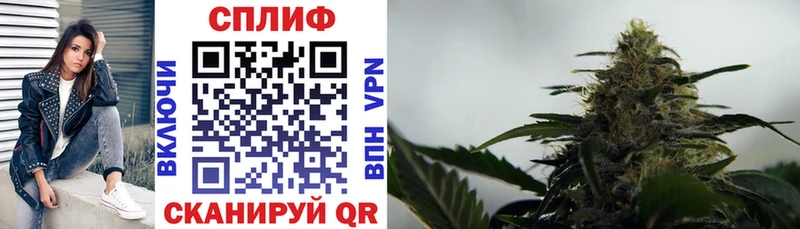 Купить  Корсаков  Канабис марихуана 